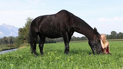 CAV-Schmusebild-Carolin-Lauterbach CAV-Schmusebild-Carolin-Lauterbach