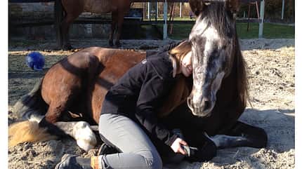 CAV Schmuse-Bilder 25 CAV Schmuse-Bilder 25