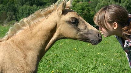 CAV-Schmusebild-Lena-Schmauch CAV-Schmusebild-Lena-Schmauch