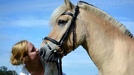 CAV-Schmusebild-Alina-Schumacher-1 CAV-Schmusebild-Alina-Schumacher-1