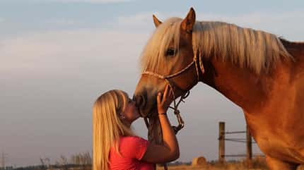CAV-Schmusebild-Vanessa-Eckers-Nix CAV-Schmusebild-Vanessa-Eckers-Nix