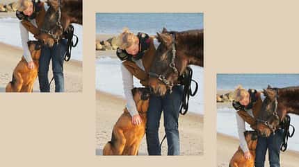 CAV Schmuse-Bilder Charlene Meinelt CAV Schmuse-Bilder Charlene Meinelt