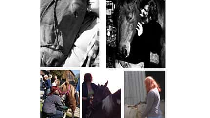 CAV Schmuse-Bilder 3 CAV Schmuse-Bilder 3