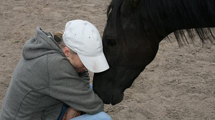 CAV Schmuse-Bilder 33 CAV Schmuse-Bilder 33
