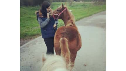 CAV Leserfotos Schmuse-Bilder Chantal Marie Goliath CAV Leserfotos Schmuse-Bilder Chantal Marie Goliath