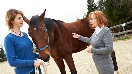 CAV Reiki Christa Mahlmeister 10 CAV Reiki Christa Mahlmeister 10
