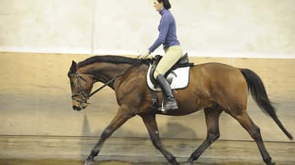 CAV Uebergaenge Trab zulegen 2 (jpg) CAV Uebergaenge Trab zulegen 2 (jpg)