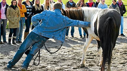 CAV Stimmung Horsemanship Florian Oberparleiter 6 CAV Stimmung Horsemanship Florian Oberparleiter 6