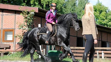 CAV Reitsimulator Reiter-Sitz 3 CAV Reitsimulator Reiter-Sitz 3
