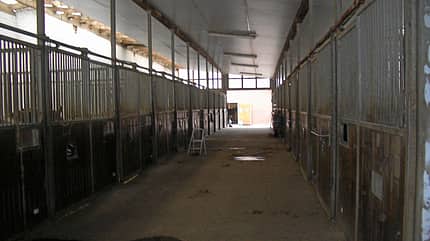 CAV-0912-Reitschultest-Kruse-Stall (jpg) CAV-0912-Reitschultest-Kruse-Stall (jpg)