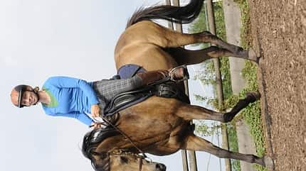 CAV Dressur Reitplatz Reitpony CAV Dressur Reitplatz Reitpony