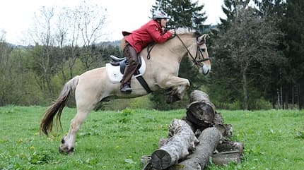 CAV-TREC-Reiten-8 (jpg) CAV-TREC-Reiten-8 (jpg)