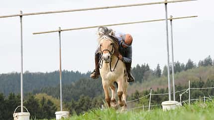 CAV-TREC-Reiten-9 (jpg) CAV-TREC-Reiten-9 (jpg)