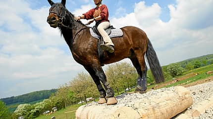 CAV-Extreme-Trail-Park-two-step CAV-Extreme-Trail-Park-two-step