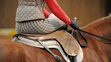 CAV 0210 Damensattel reiten 9 CAV 0210 Damensattel reiten 9