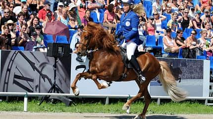 CAV Isländer Isländer-WM