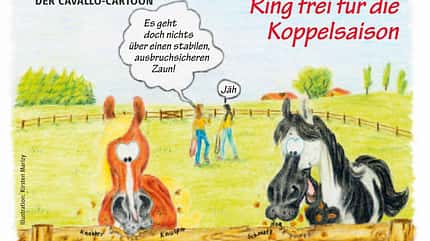 CAV Cavallo-Cartoon Kirsten Marizy Cartoon Karikatur 25 CAV Cavallo-Cartoon Kirsten Marizy Cartoon Karikatur 25
