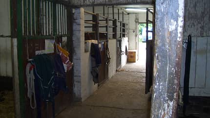 CAV-0112-Reitschultest-Kiel-Hoehndorfer-Hof-Stall (jpg) CAV-0112-Reitschultest-Kiel-Hoehndorfer-Hof-Stall (jpg)