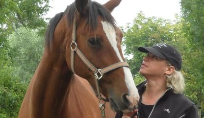CAV Pferde Senioren 23-jähriger Trakehner Piero MS CAV Pferde Senioren 23-jähriger Trakehner Piero MS