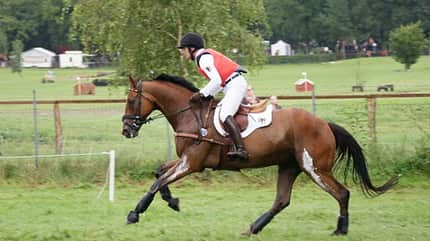 CAV Luhmühlen Vielseitigkeit Europameisterschaft Michael Jung CAV Luhmühlen Vielseitigkeit Europameisterschaft Michael Jung