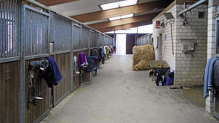 CAV_0411_Reitschultest_Bochumer-Reiterschaft_3 (jpg) CAV_0411_Reitschultest_Bochumer-Reiterschaft_3 (jpg)