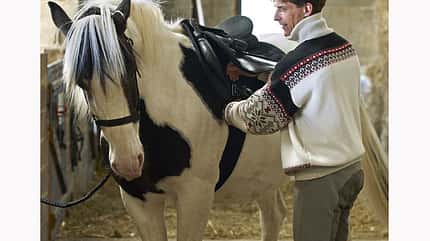 CAV 12_2010-Pferd-locker-reiten_Schoenewald_02 (jpg) CAV 12_2010-Pferd-locker-reiten_Schoenewald_02 (jpg)