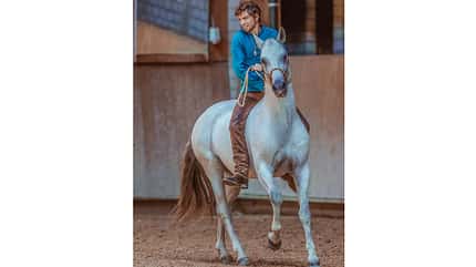 cav-next-generation-strisch016 (jpg) cav-next-generation-strisch016 (jpg)