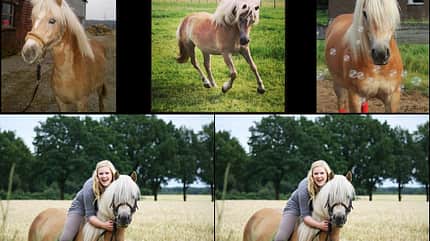 CAV Vorher Nachher Lesefotos Jenny Hortig CAV Vorher Nachher Lesefotos Jenny Hortig