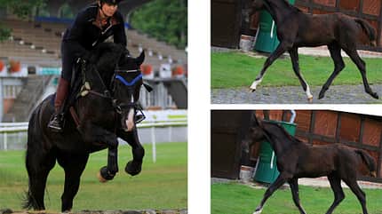CAV Vorher Nachher Leserfotos Stefanie Huonker CAV Vorher Nachher Leserfotos Stefanie Huonker