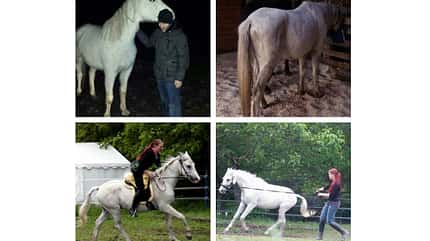 CAV Vorher Nachher Lesefotos Pamela Hofer 1 CAV Vorher Nachher Lesefotos Pamela Hofer 1