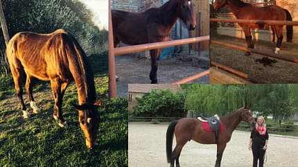 CAV Vorher Nachher Lesefotos Katrin Steineder CAV Vorher Nachher Lesefotos Katrin Steineder