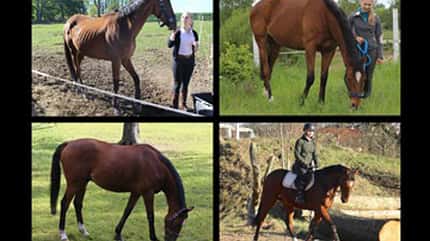 CAV Vorher Nachher Lesefotos Karoline Barthel CAV Vorher Nachher Lesefotos Karoline Barthel