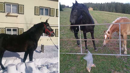 CAV Vorher Nachher Lesefotos Andrea Bietsch CAV Vorher Nachher Lesefotos Andrea Bietsch