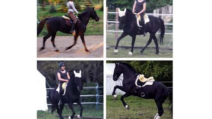 CAV Vorher Nachher Lesefotos Pamela Hofer 2 CAV Vorher Nachher Lesefotos Pamela Hofer 2