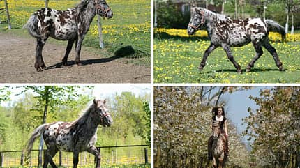 CAV Vorher Nachher Lesefotos Manja CAV Vorher Nachher Lesefotos Manja