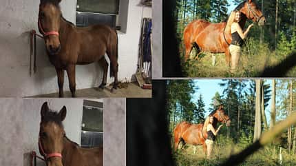 CAV Vorher Nachher Lesefotos Selina Mutschler CAV Vorher Nachher Lesefotos Selina Mutschler