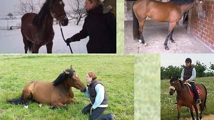 CAV Vorher Nachher Lesefotos Jana Pilz CAV Vorher Nachher Lesefotos Jana Pilz