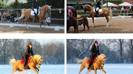 CAV Vorher Nachher Lesefotos Anja Friedl CAV Vorher Nachher Lesefotos Anja Friedl