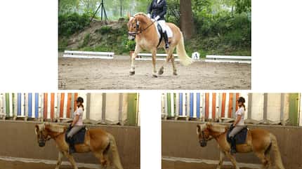 CAV Vorher Nachher Lesefotos Jennifer Henning und Lisa Gerdes CAV Vorher Nachher Lesefotos Jennifer Henning und Lisa Gerdes