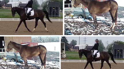 CAV Vorher Nachher Lesefotos Judith Diethelm CAV Vorher Nachher Lesefotos Judith Diethelm