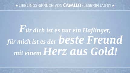 CAV Reitersprüche 9