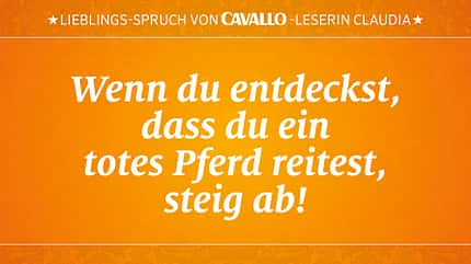 CAV Reitersprüche 28