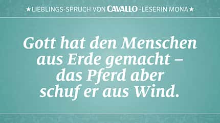 CAV Reitersprüche 11