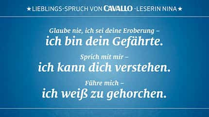 CAV Reitersprüche Sprüche