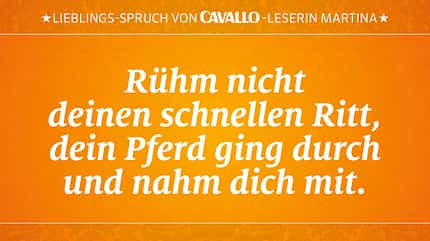 CAV Reitersprüche 21