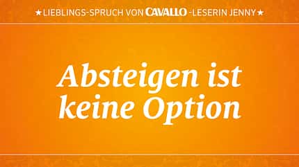 CAV Reitersprüche 7