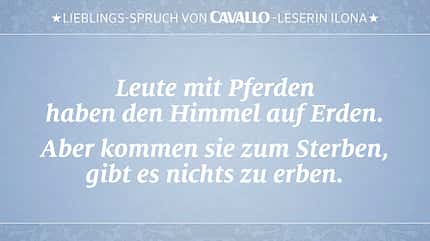 CAV Reitersprüche 16
