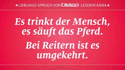 CAV Reitersprüche 5