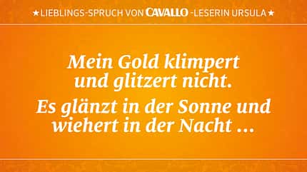 CAV Reitersprüche 14