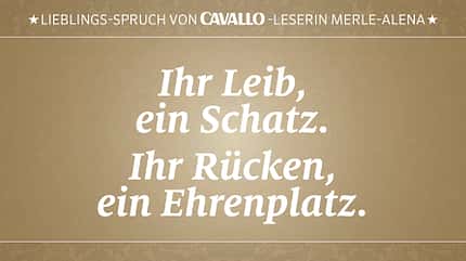 CAV Reitersprüche 3